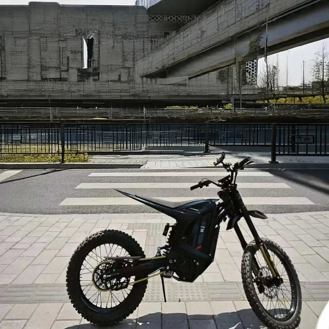 2025 Arctic Leopard Clouded Leopard XE PRO S 2025 Pre-Sale 72V55Ah 20KW Electric Motorcycle 125Km/H