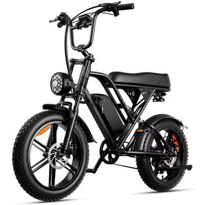 Hot Selling 48V 1000W Long Endurance Lithium Battery Electric Bike Dual Color Adults City Life Electric Bicycle
