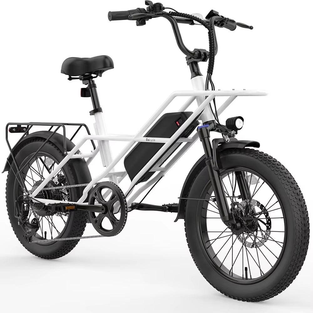 Durable 20 Inch 750W Adult Fat Tire Electric Bike Off-Road Fat Tire Fast Electric Bike