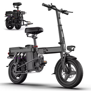 48V 250W Rear-Drive Electric Bike Adult off Road Bicycles Range 35Km Sport Bikes Fat Tire Electric Folding Bike
