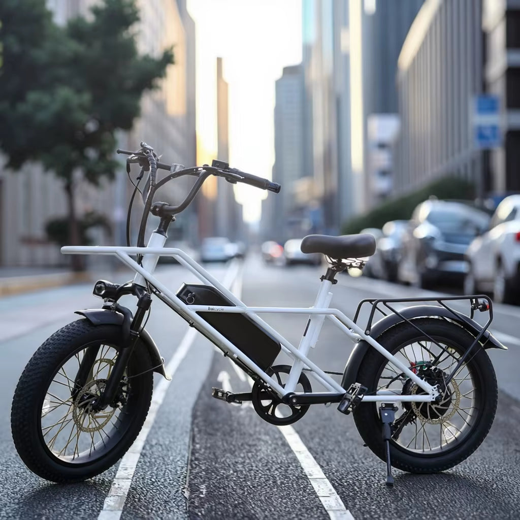 Durable 20 Inch 750W Adult Fat Tire Electric Bike Off-Road Fat Tire Fast Electric Bike
