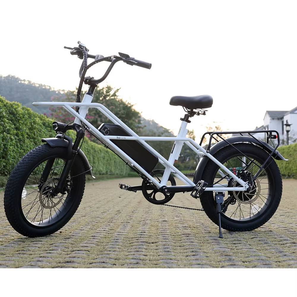 Durable 20 Inch 750W Adult Fat Tire Electric Bike Off-Road Fat Tire Fast Electric Bike
