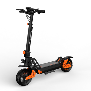 1000W Powerful Dual Drive Electric Scooters Long Range 10Inch Tires Folding Escooter for Adult Raycool