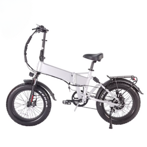 AEB20A Foldable E-Bike