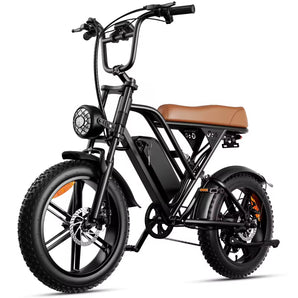 Hot Selling 48V 1000W Long Endurance Lithium Battery Electric Bike Dual Color Adults City Life Electric Bicycle