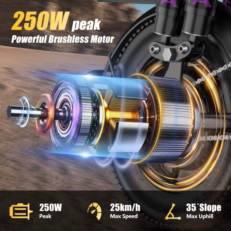 48V 250W Rear-Drive Electric Bike Adult off Road Bicycles Range 35Km Sport Bikes Fat Tire Electric Folding Bike