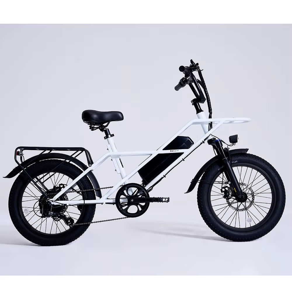 Durable 20 Inch 750W Adult Fat Tire Electric Bike Off-Road Fat Tire Fast Electric Bike