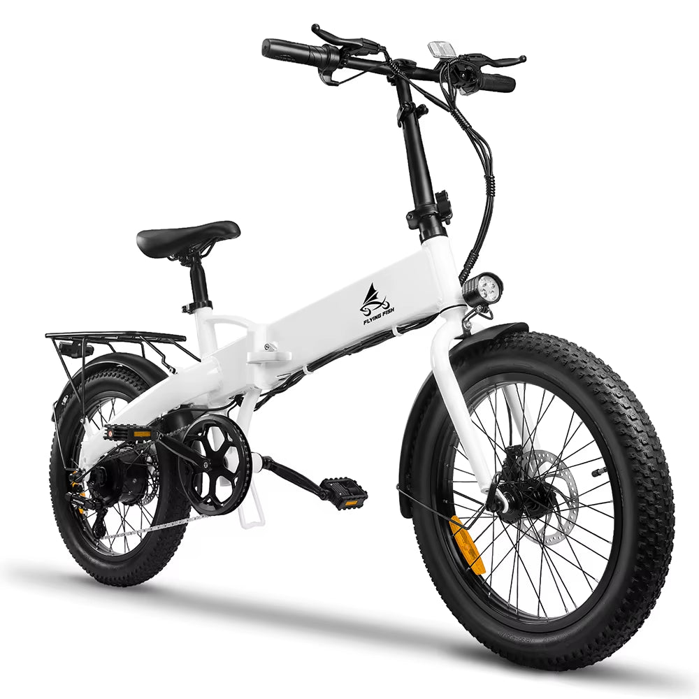 Local Spot New 250W 500W 750W Electric City Bike Cheap Fat Tire Ebike 48V Popular in Usa EU Market Electric Folding Bike